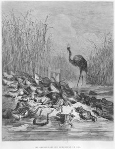 The frogs asking for a king, illustration from 